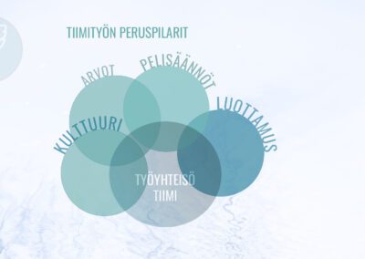 Tiimin peruspilarit