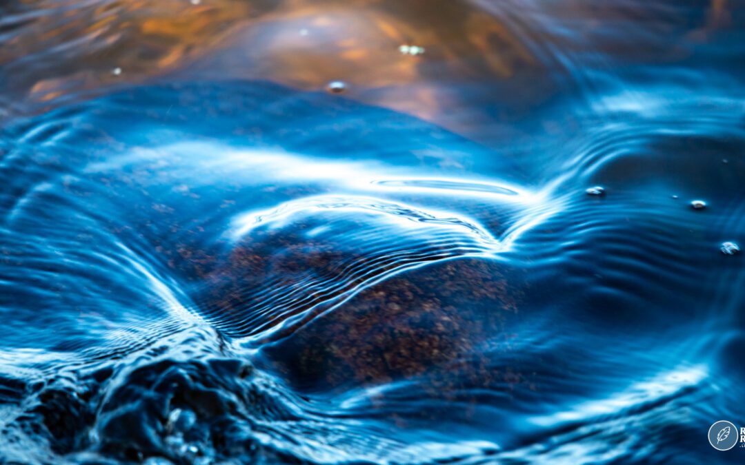 Yhteistyön puute johtuu kulttuurista