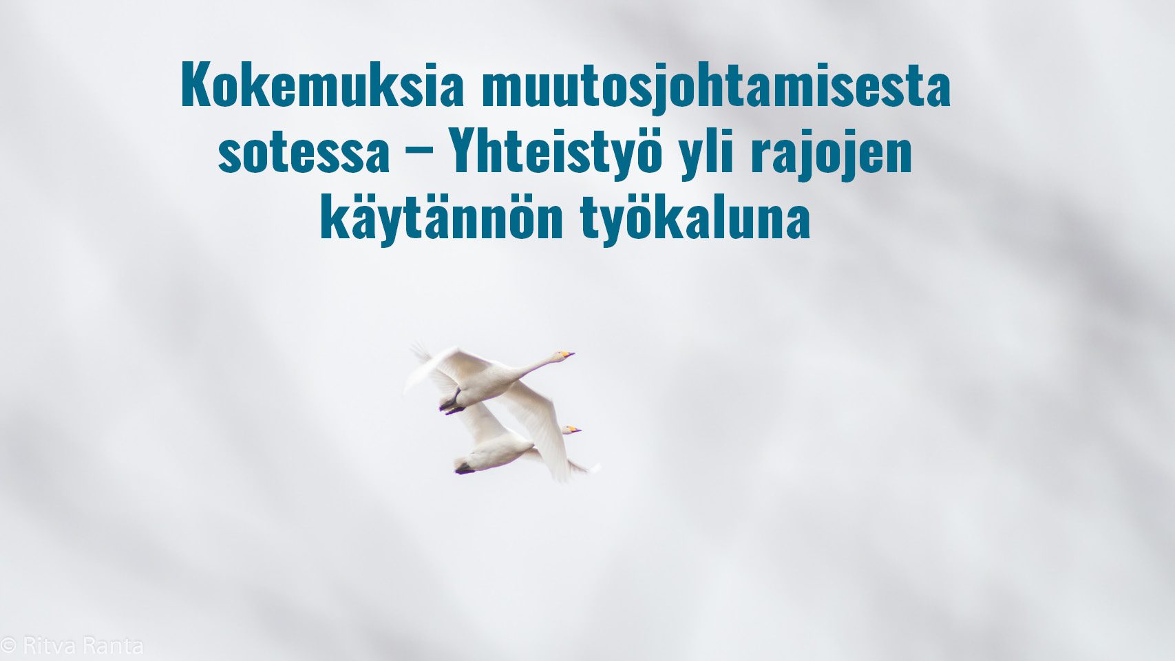 Kokemuksia yhteistyö yli rajojen Kokemuksia yhteistyö yli rajojen