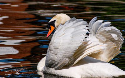 Kahden yksikön yhteinen työprosessi ei toimi
