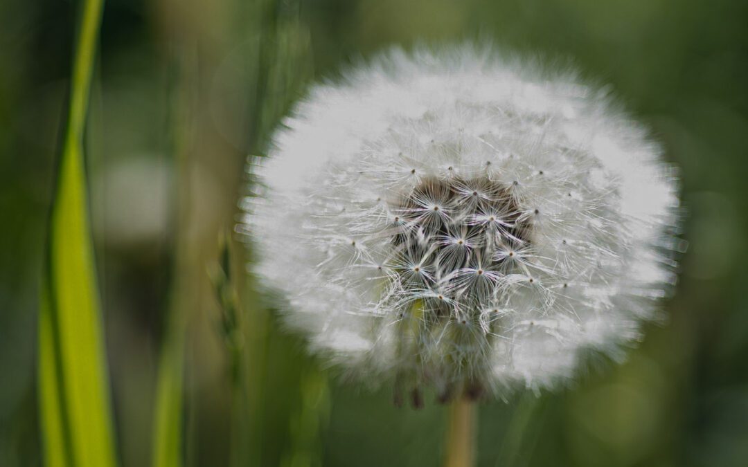 Sote alan johtaminen – hyvä ja huono