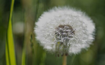 Sote alan johtaminen – hyvä ja huono
