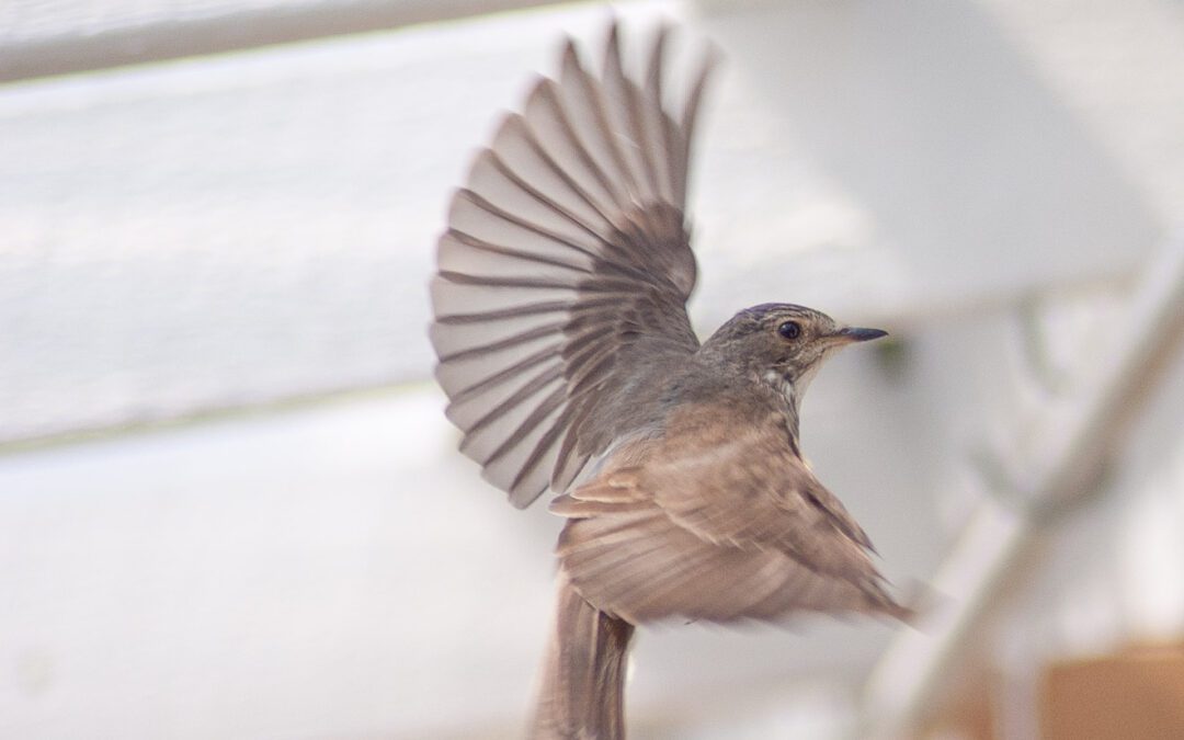 Työilmapiiri ja yhteiset pelisäännöt: Näin luot toimivan työyhteisön