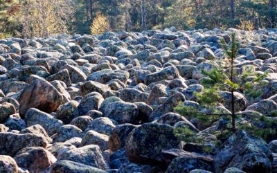 Sosiaalinen identiteetti ja muutos