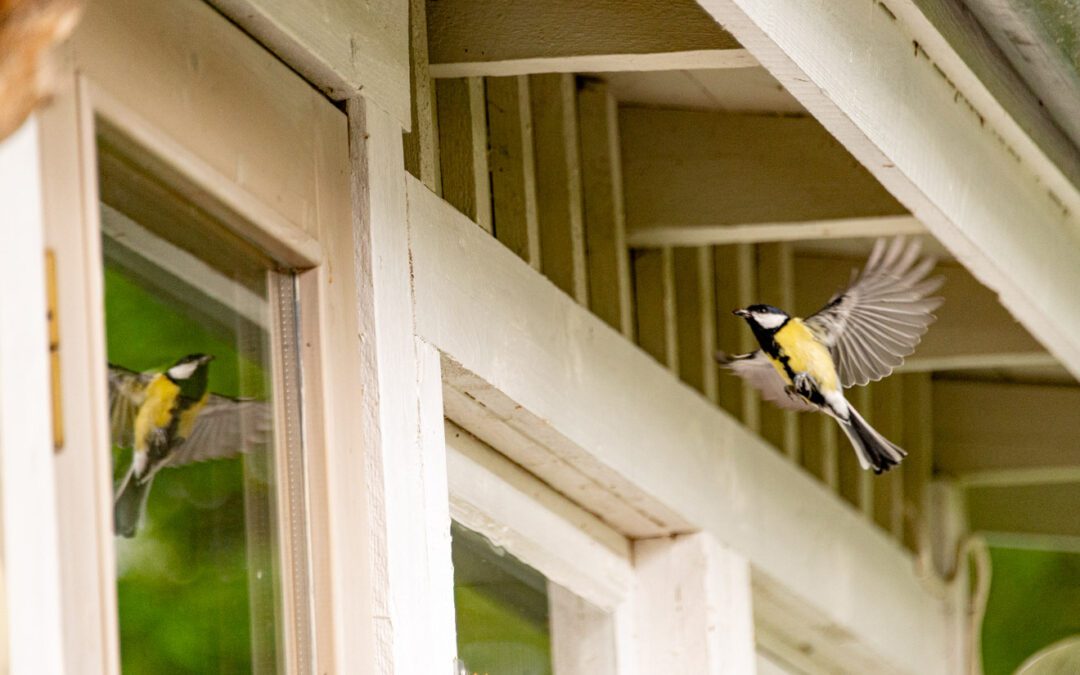Tiimityöskentely ja strategia käytäntöön