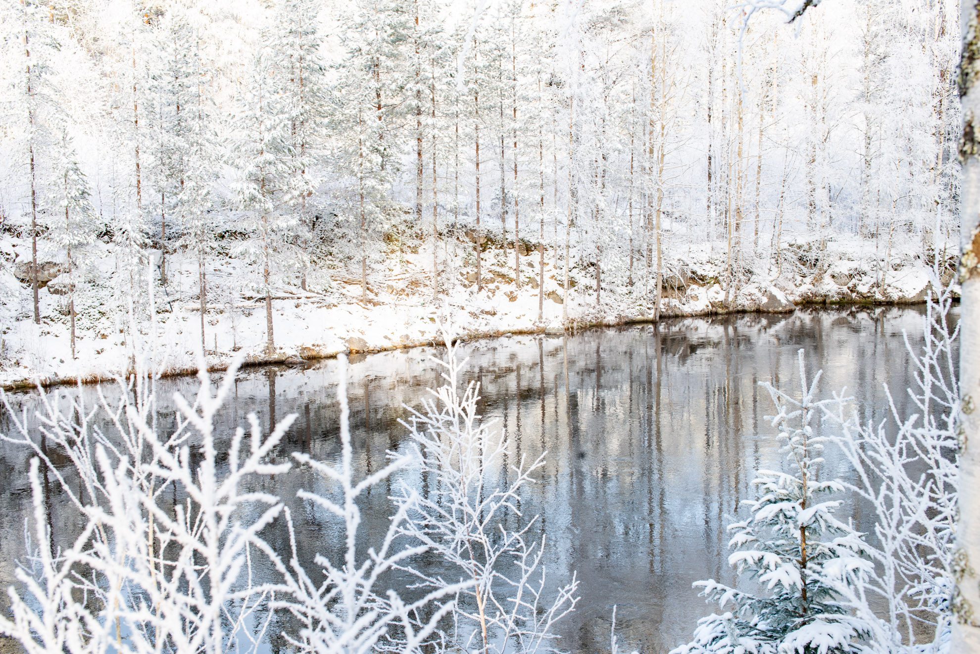 Tiimityön kehittäminen