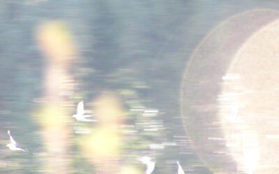 Stressinhallinta – arki sujuvaksi – tyhy-päivä ei riitä?