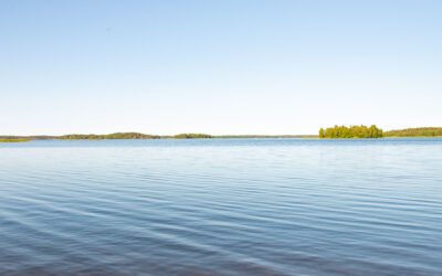 Hiljainen tieto ja osaamisen siirto