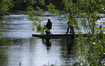 Jatkuva Parantaminen terveydenhuolto