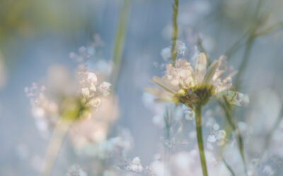 Työyhteisön kehittäminen – näin myönteinen kierre syntyy