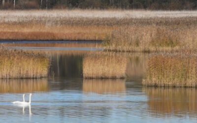 Yhteinen suunta näkyy sote-tiimin pienissä teoissa